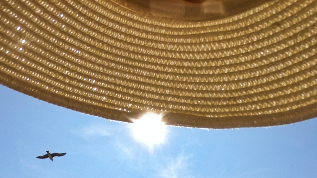 Solen når gjennom stråhatten. En måke flyr på himmelen