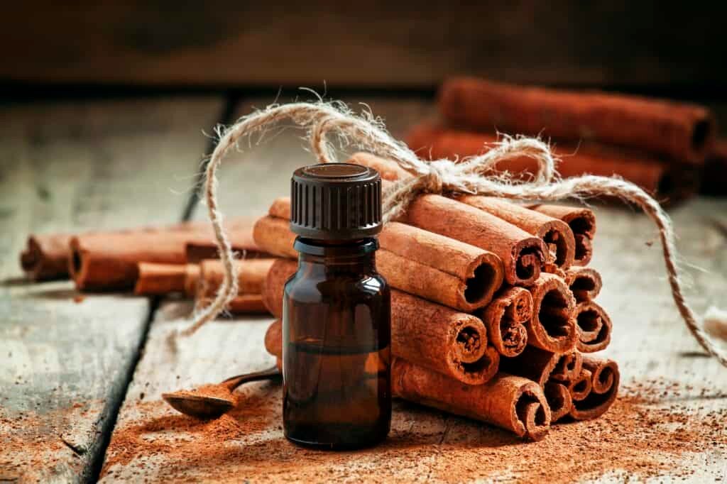 Essential cinnamon oil in a small bottle