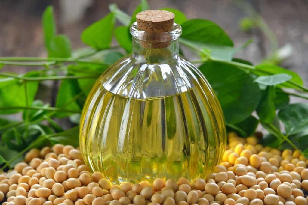 soy bean oil