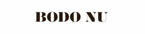 Bodo-Nu-logo.jpg